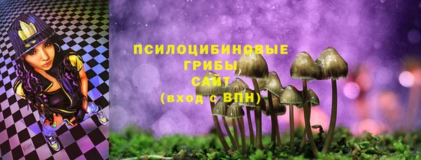 ECSTASY Бронницы