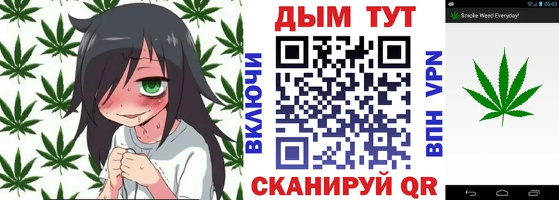 Купить где  Елабуга  Конопля Amnesia 